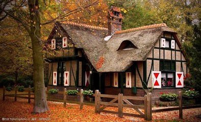 林中小屋图片