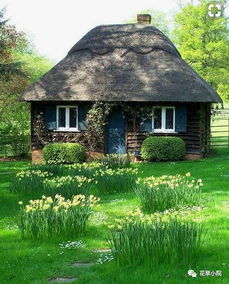 世界上最美花园,都帮你收集全了