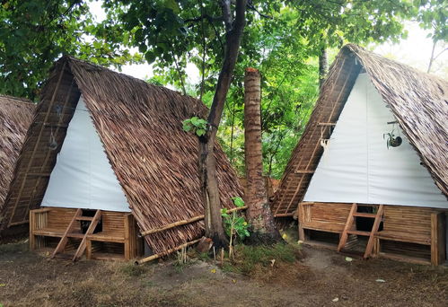 宿雾马拉帕斯加岛的1卧室小屋 16平方公尺 0间专用卫浴 neverland 线上订房 agoda.com