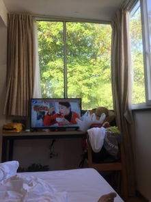 杭州隐泉居度假民宿 原晶晶的小窝精品客栈，一处宁静的小屋